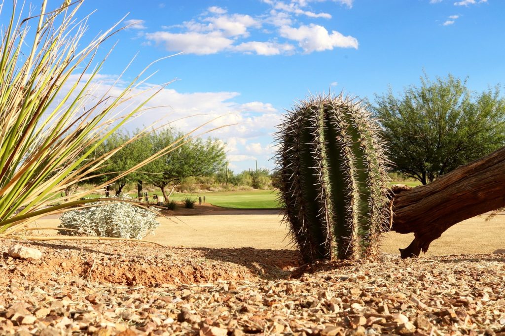 Who Pays Recording Fees in Arizona and What Do They Cover?